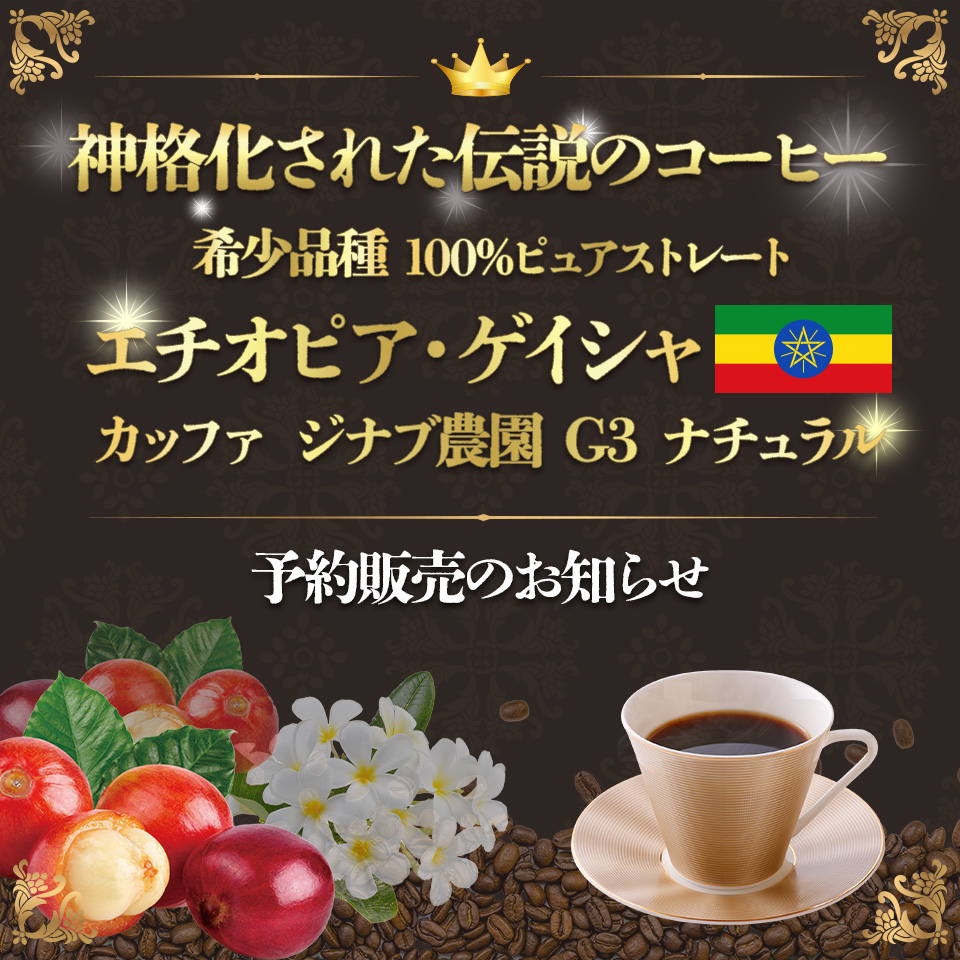 自家焙煎コーヒー豆　エチオピア　ジナブ農園　ゲイシャ種　1000g エチオピア カッファ ジナブ農園 ゲイシャG3 N（Ethiopia