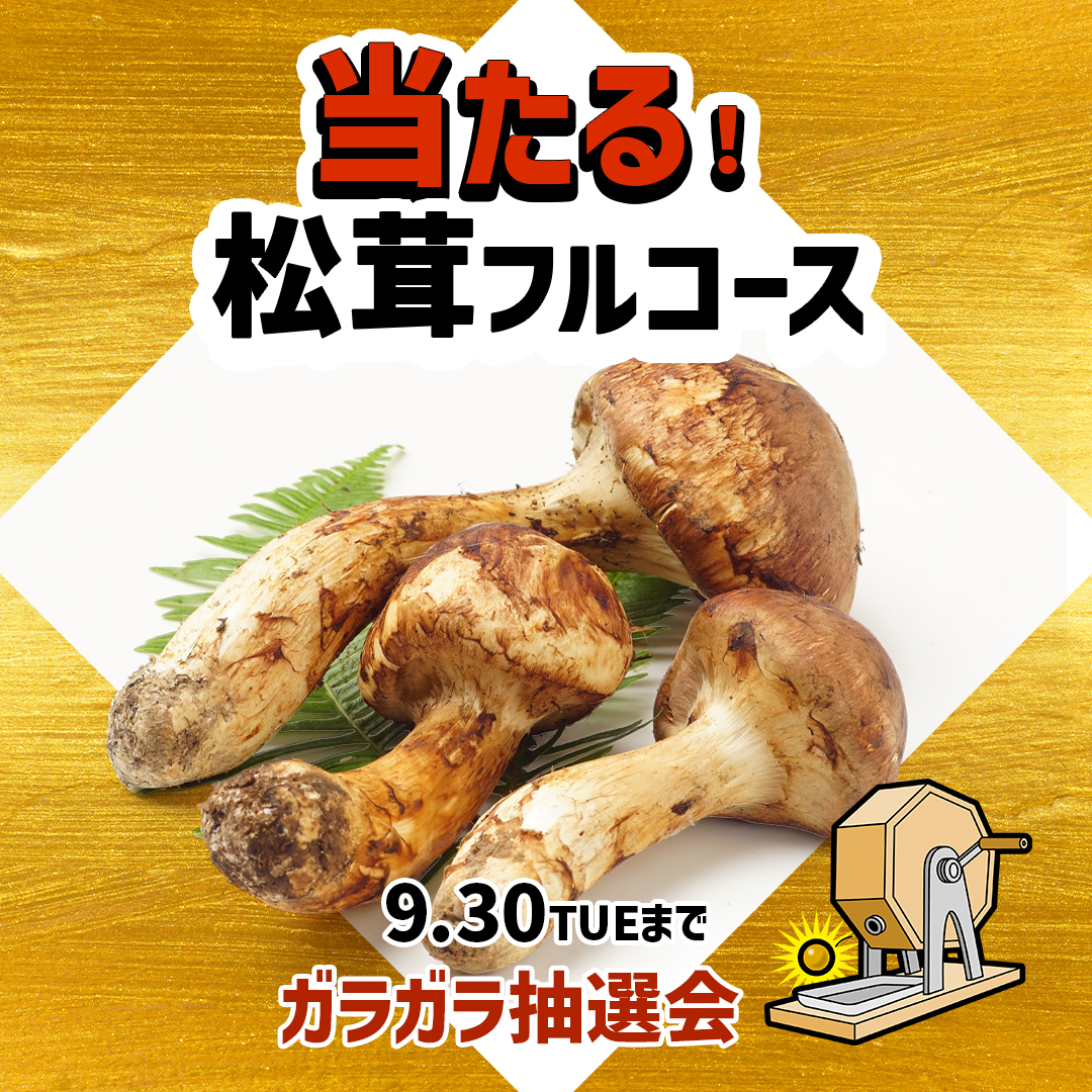 ご好評につき延長！ガラガラ抽選会2025 - 奈良県のカフェ オランダ屋