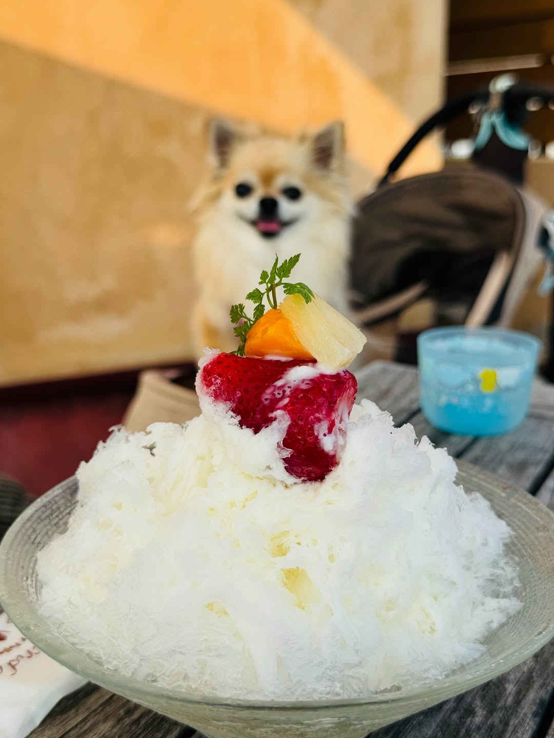 フォトコン受賞作品「特別賞」